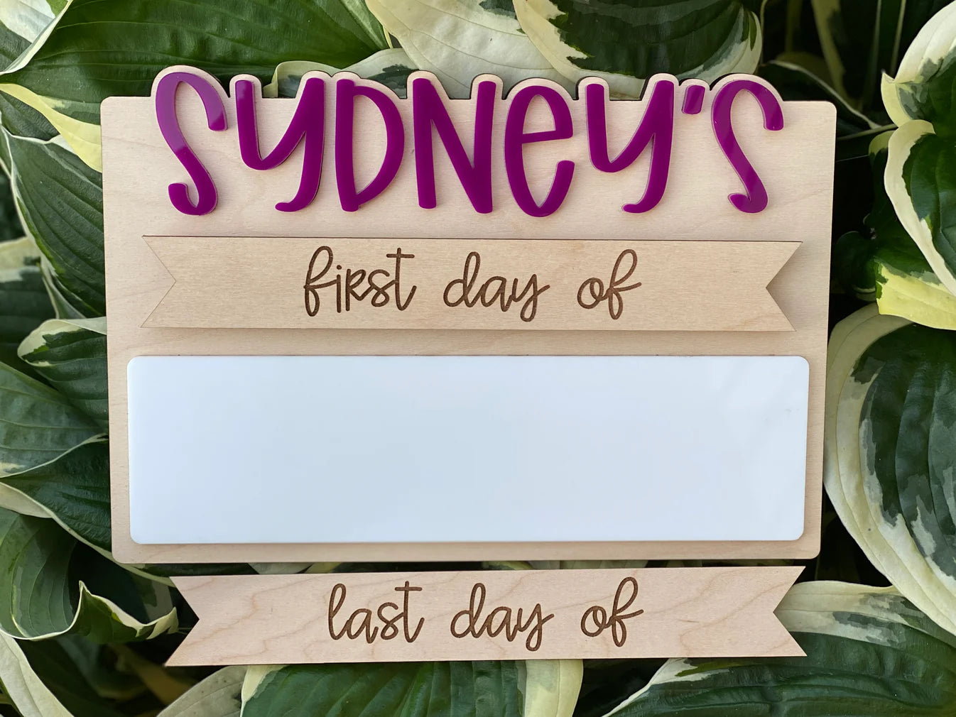 First and Last Day Customized Signs
